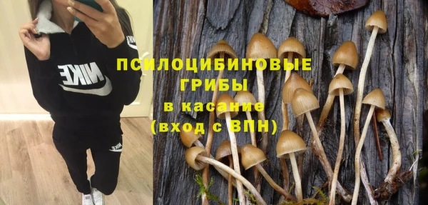 apvp Баксан