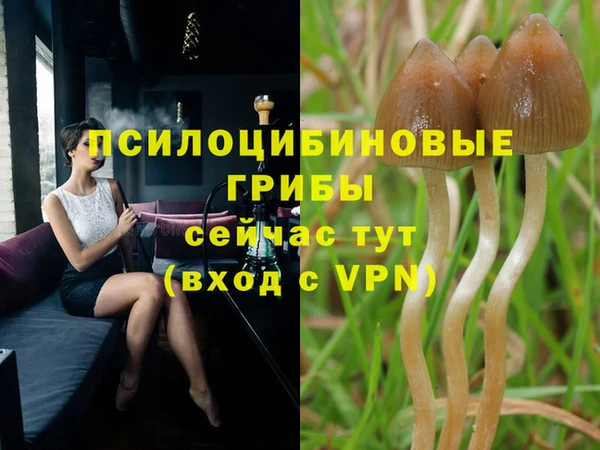 Альфа ПВП Балабаново