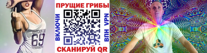 Псилоцибиновые грибы Psilocybine cubensis  Купить где  Сосновоборск 